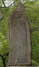 2560247