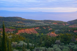 2411209